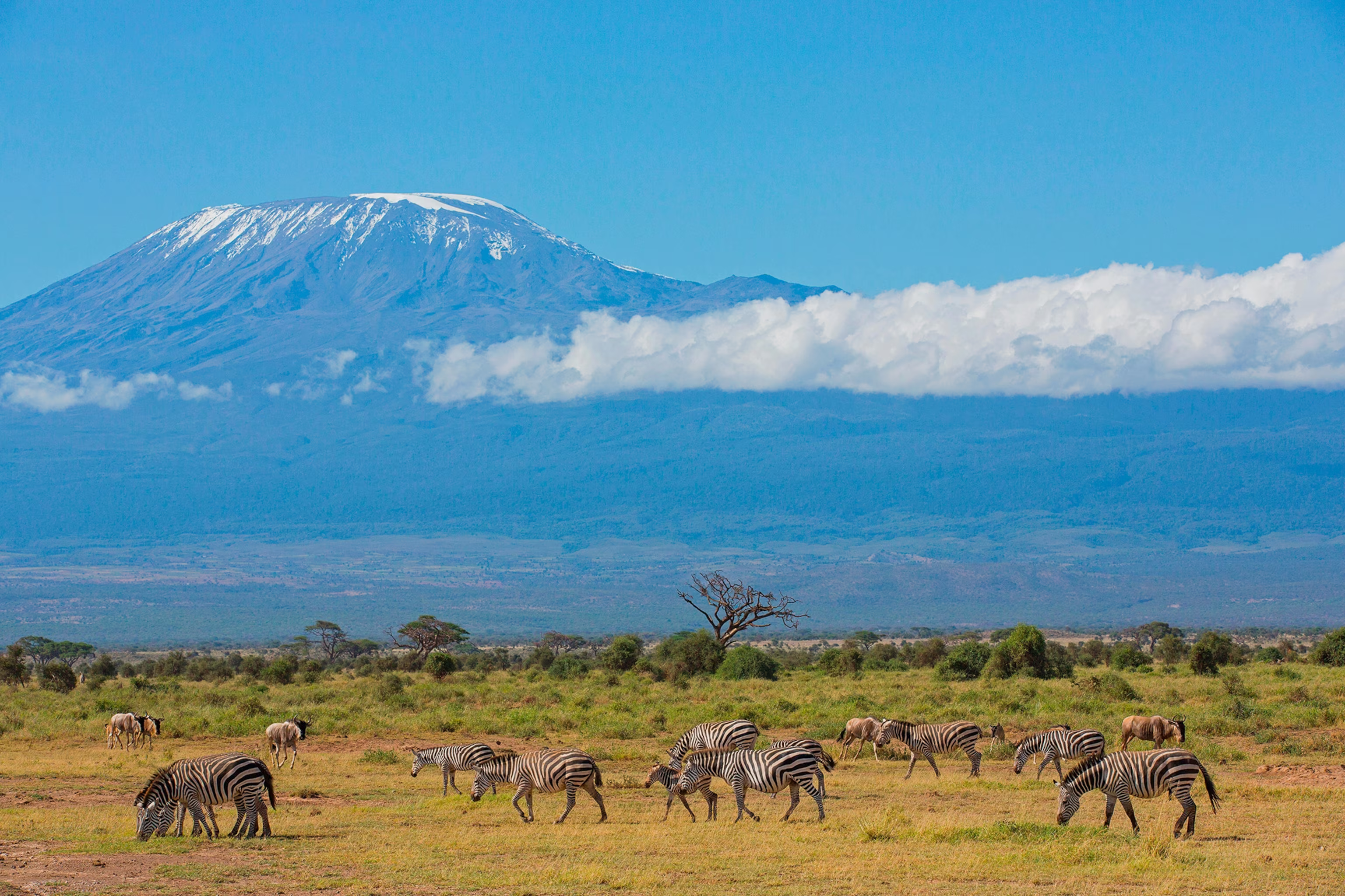 Mount Kilimanjaro