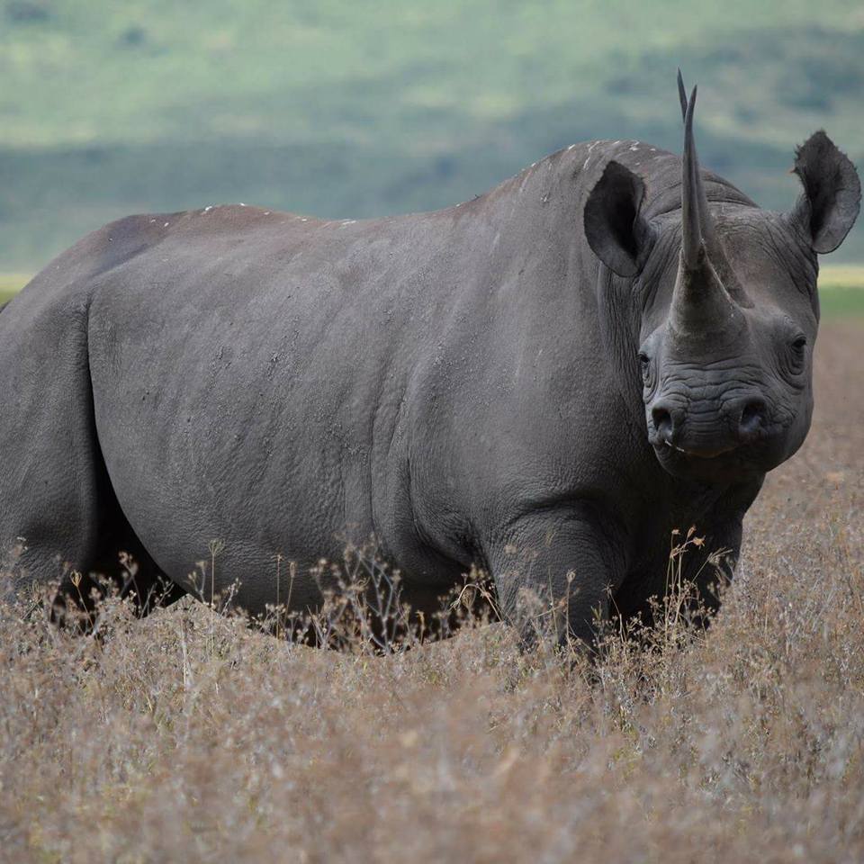 Serengeti National Park